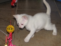 20100206 416.JPG